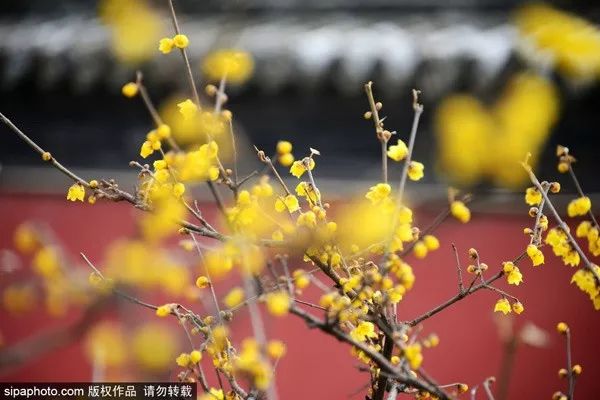 北京一类卡办理需要什么条件,北京生活办哪些卡