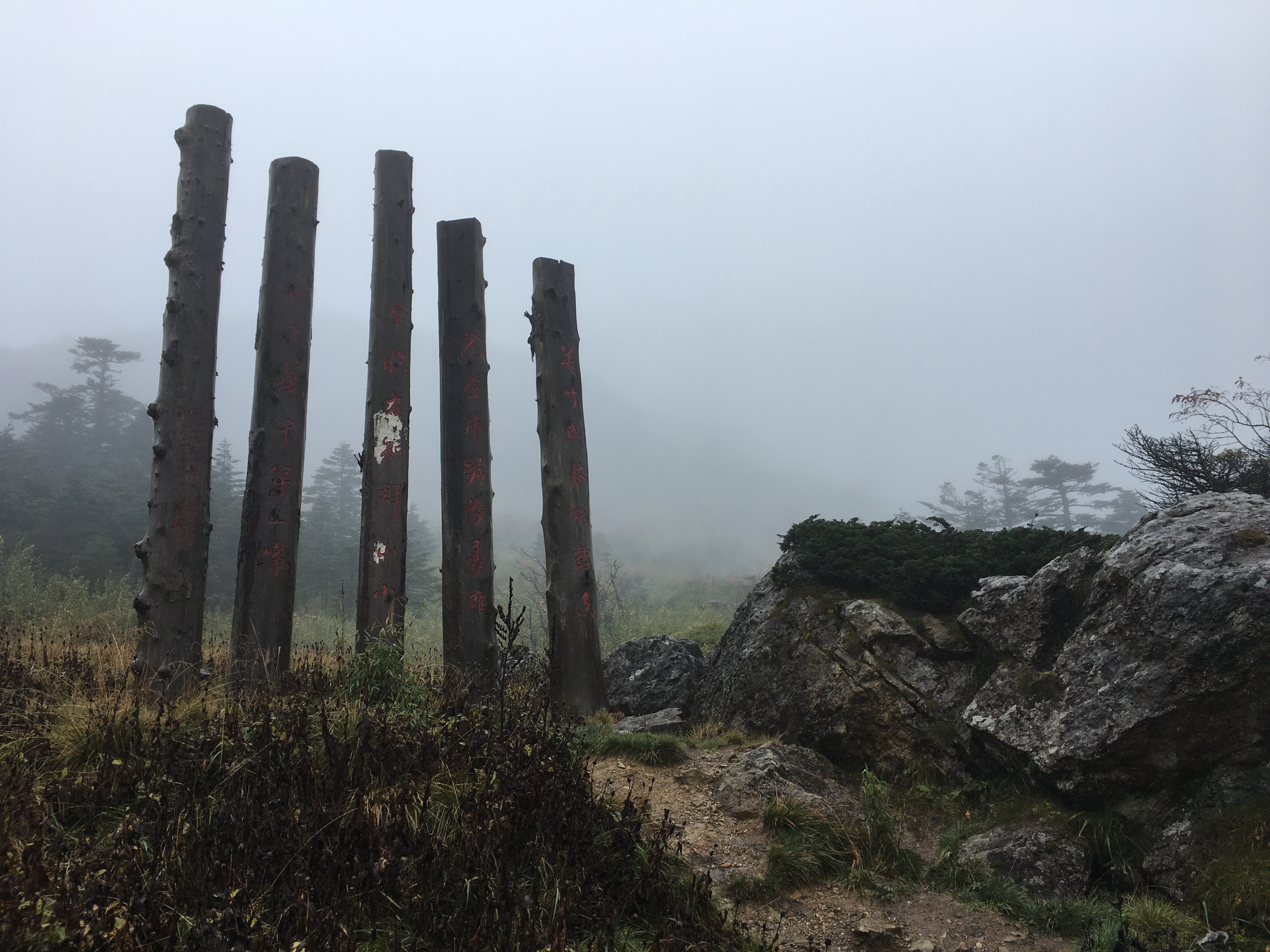 雨中神农架探秘之旅｜国庆节武汉至神农架自驾游攻略分享