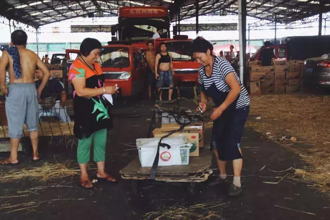 恭喜！菜园坝强势回归，将是踏入重庆的首站