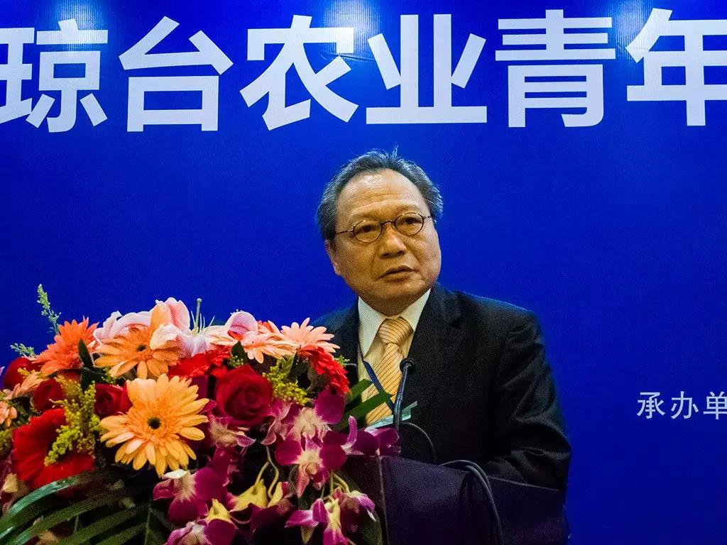 有机的光明——“汇”之篇