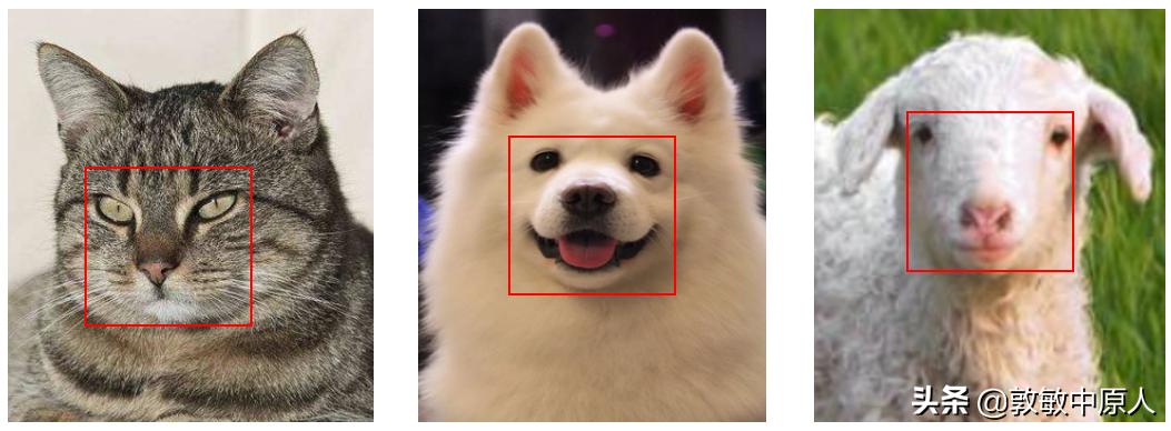 零基础学习ai视频,从零基础掌握AI论文实验分析