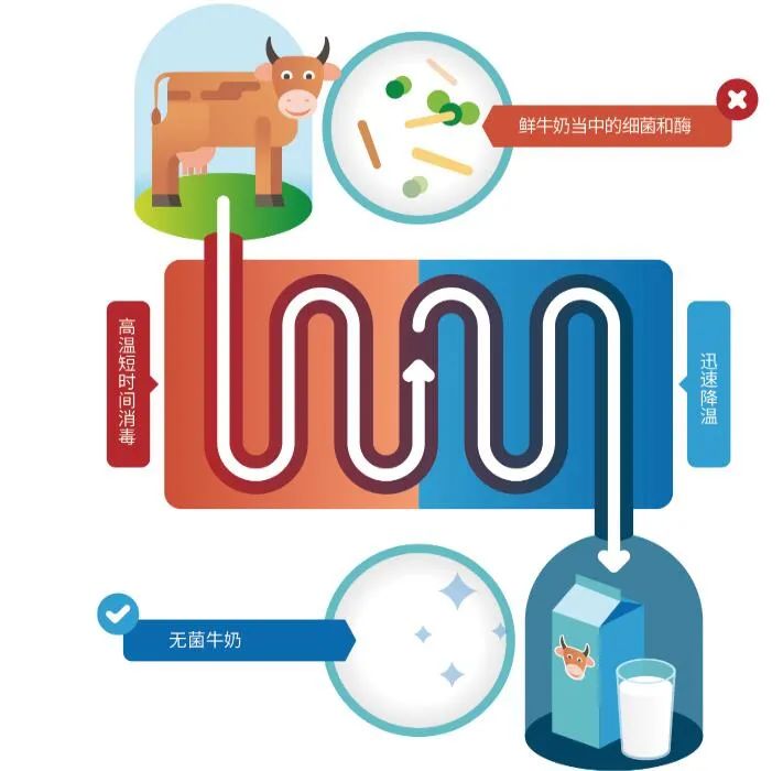 最好的洗手液消毒杀菌,全球正确洗手日