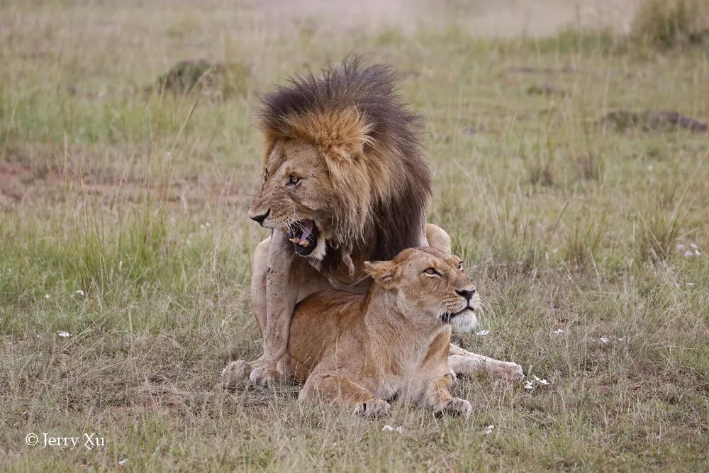 情人节适合干什么事,情人节对方做过最让你感动的事