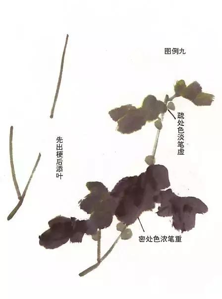 菊花国画入门简单教程,国画菊花画法技法教程