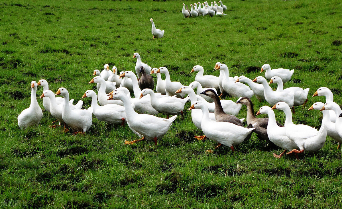 连云港重大项目招商,连云港市156个项目