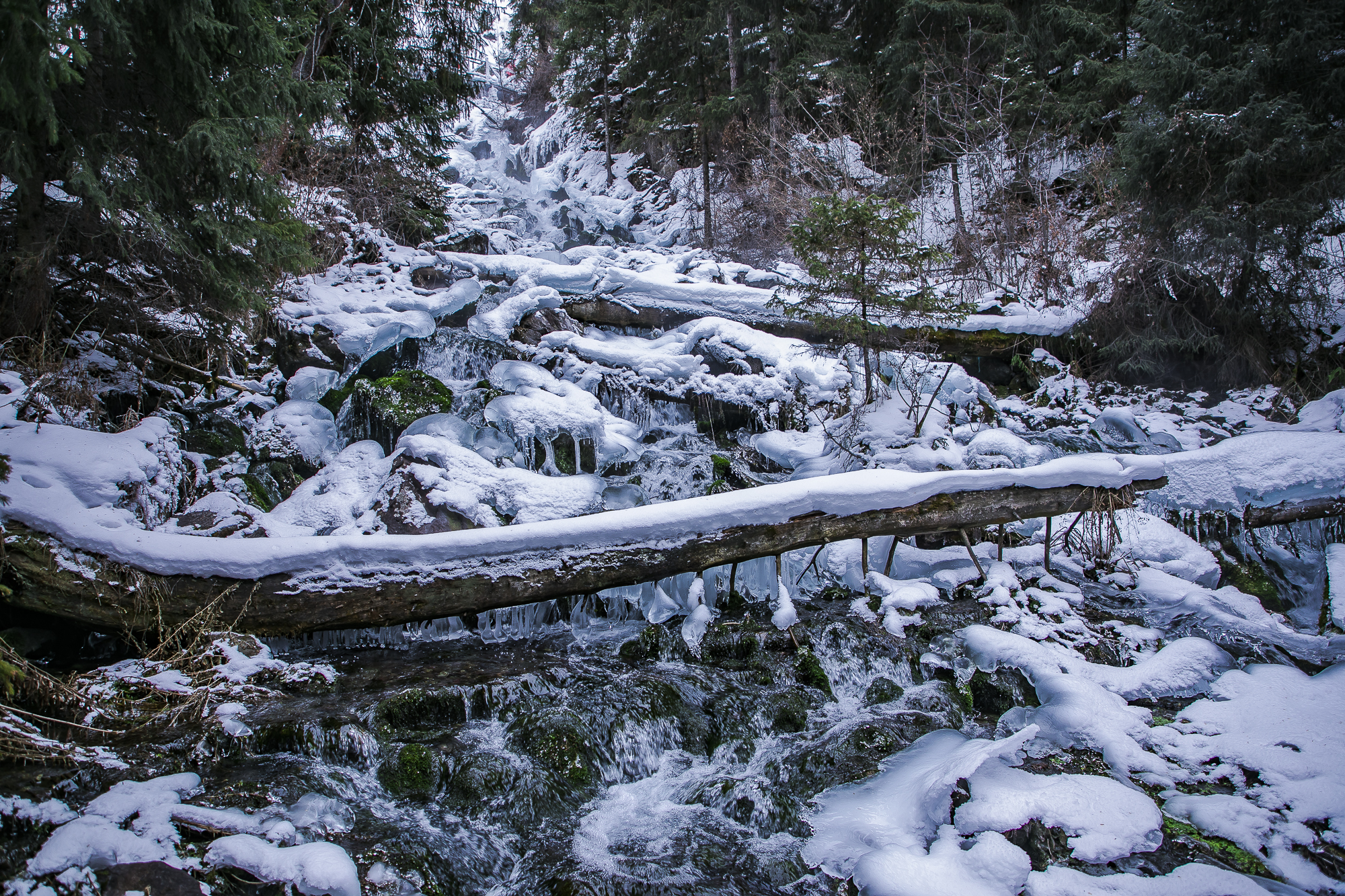 大美新疆博格达峰美景,天山天池博格达峰全景图片