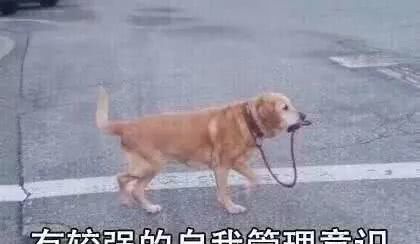 素颜霜普通人真实测评,十几块钱素颜霜真的好用吗