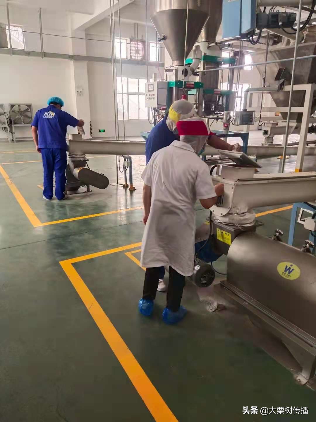 不做井底之蛙要做勇敢之蛙,不做井底之蛙要做举世鲲鹏