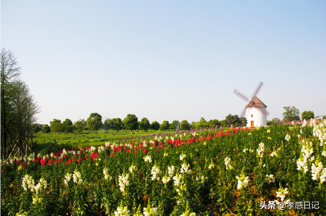 孝感出发旅游攻略路线,湖北孝感的旅游攻略