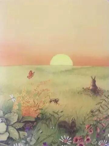 培养3至4岁幼儿逻辑思维的绘本,读绘本引导孩子的思维