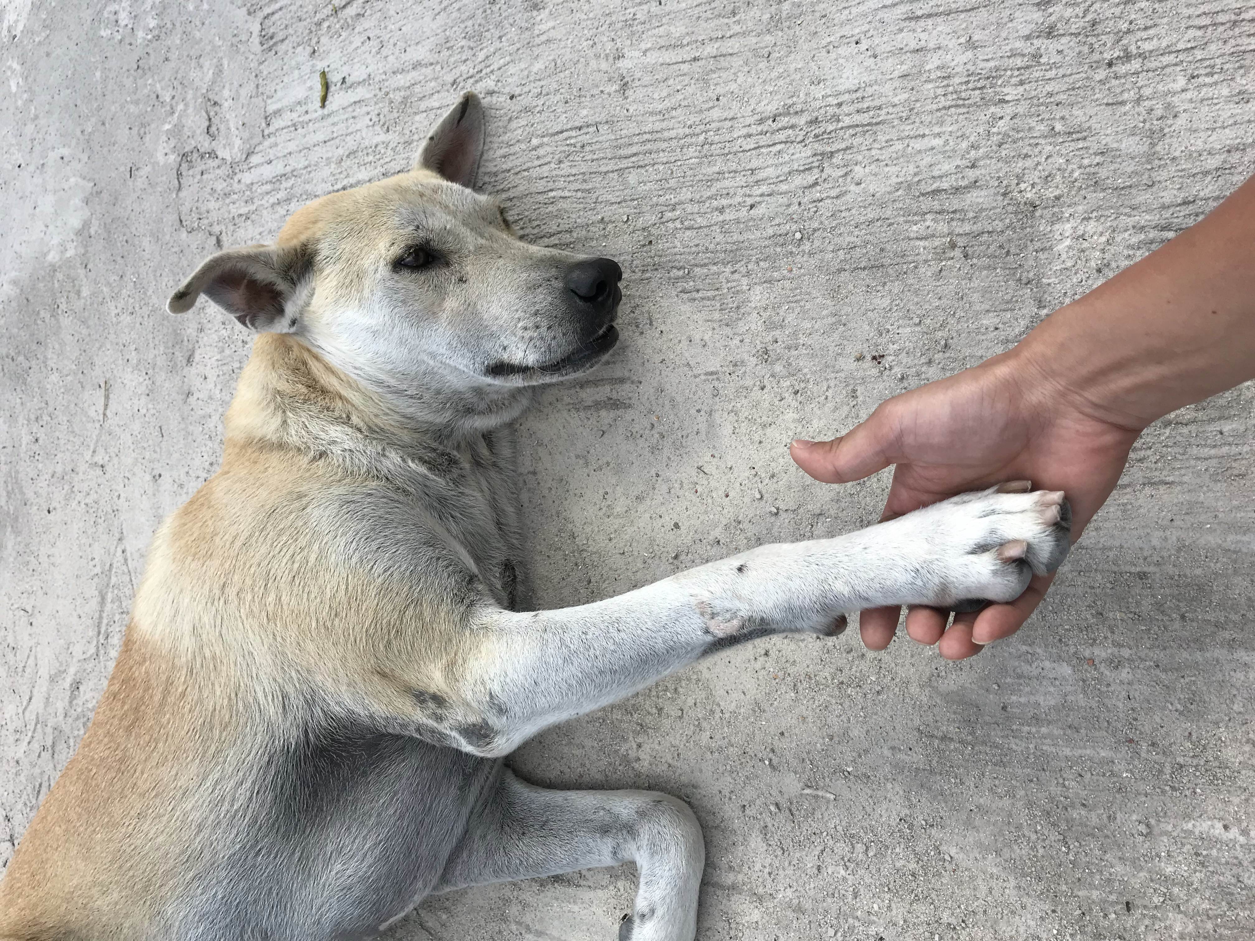 第一次去泰国旅游需要带什么,第一次到泰国旅游需要带什么