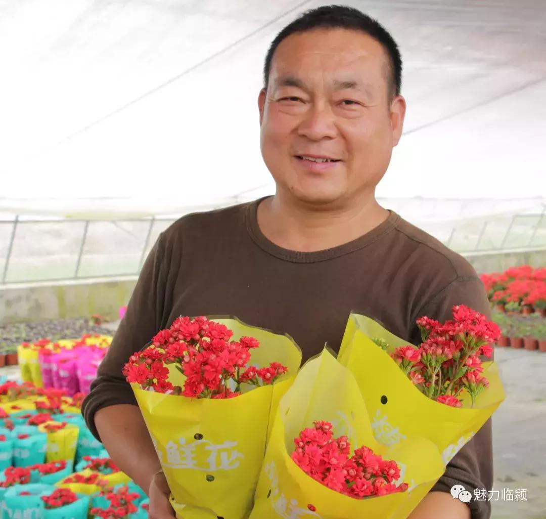 临颍:尚纪安计划5年把刘庄打造成河南最大的花卉种植交易基地