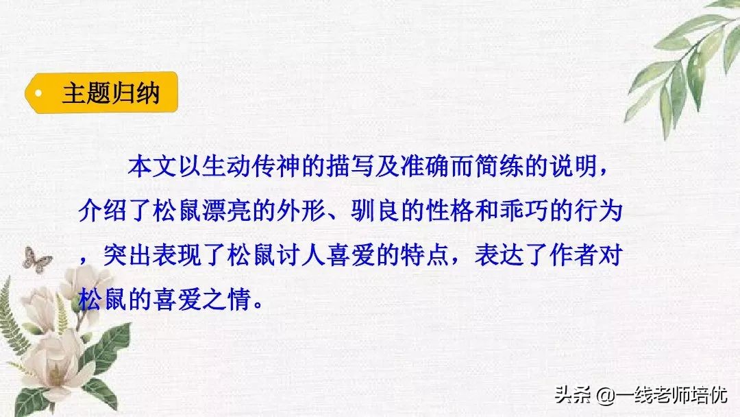 语文五年级上册第17课松鼠资料,部编版五年级上册第17课松鼠课件