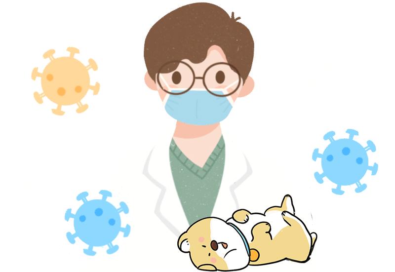 对宠物过敏又想养宠物怎么办,怎么从根本上解决宠物过敏