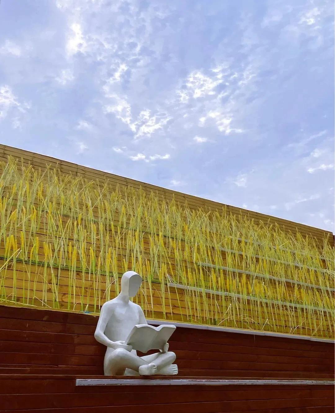 私藏拍照最好的地方,天津适合拍照又安静的地方