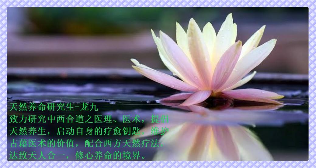 大自然的礼物868,大自然的礼物