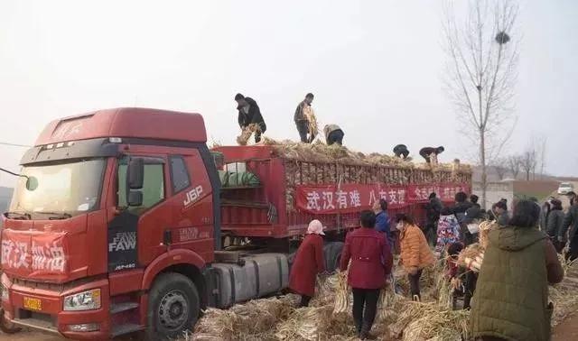 疫情我们能熬过去吗 (如果疫情再下去你能熬多久)