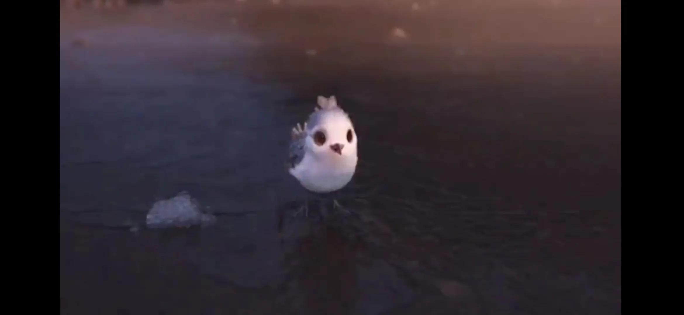 教育孩子成长的一些心得,教育孩子的正确方法和感悟