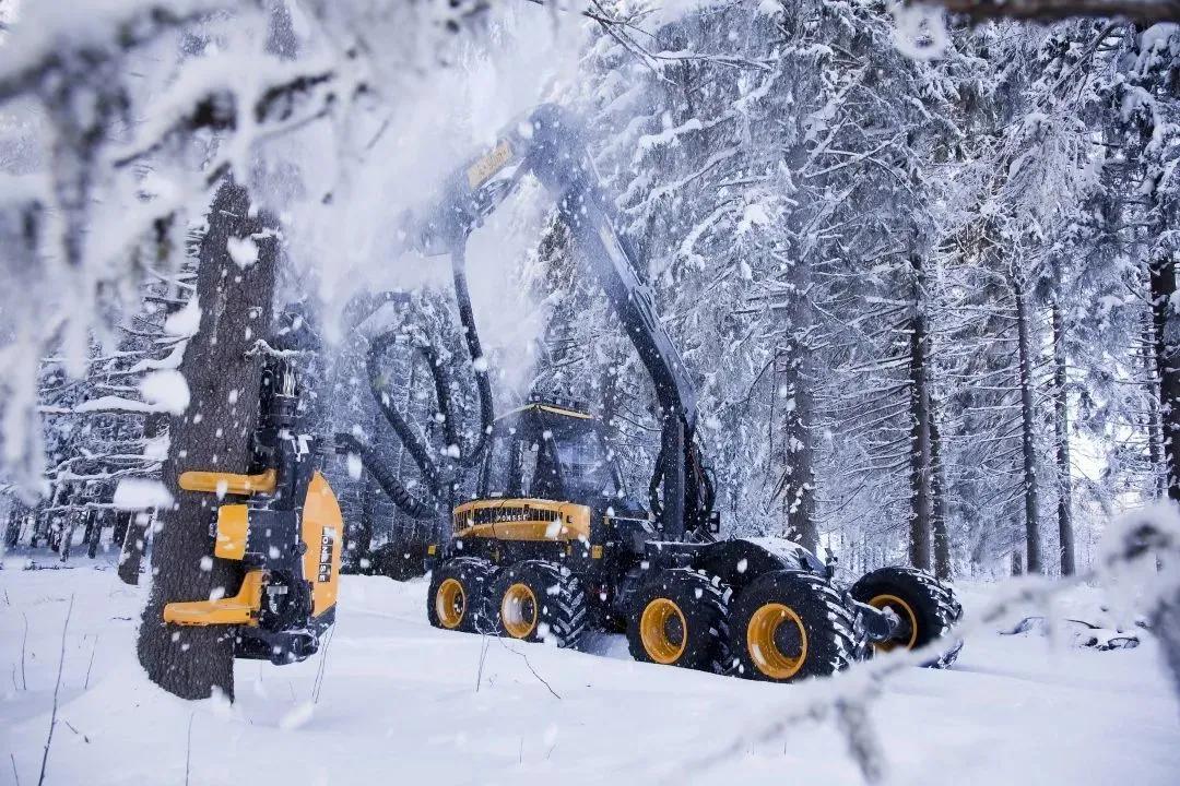 领馆专递｜英国、加拿大、丹麦、芬兰的最新信息