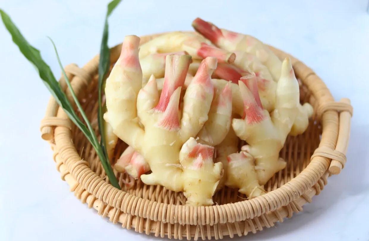 三伏天少吃什么多吃什么,三伏天要不要多吃嫩姜