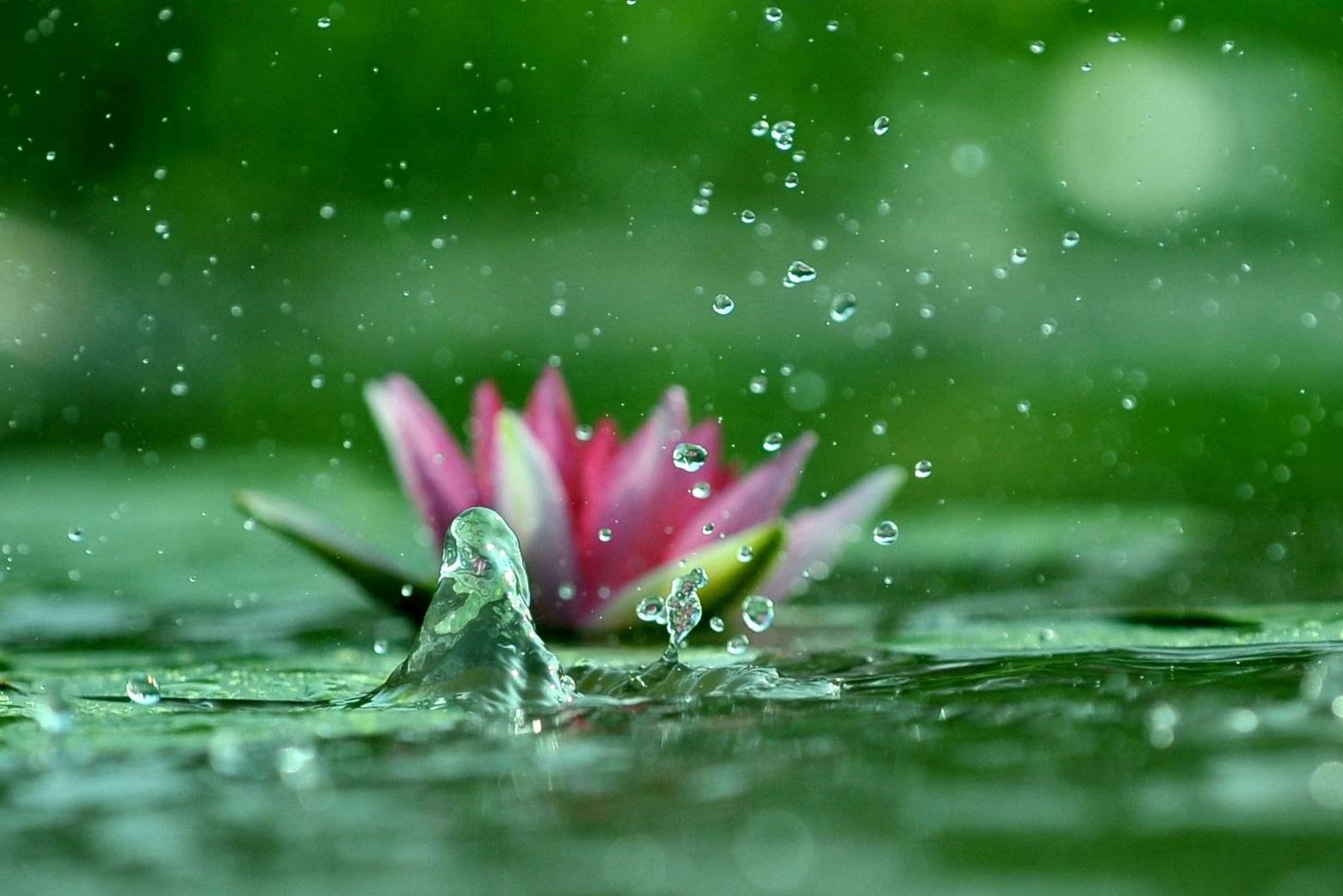 辛弃疾为赋新词强说愁讲解,宋词辛弃疾名句