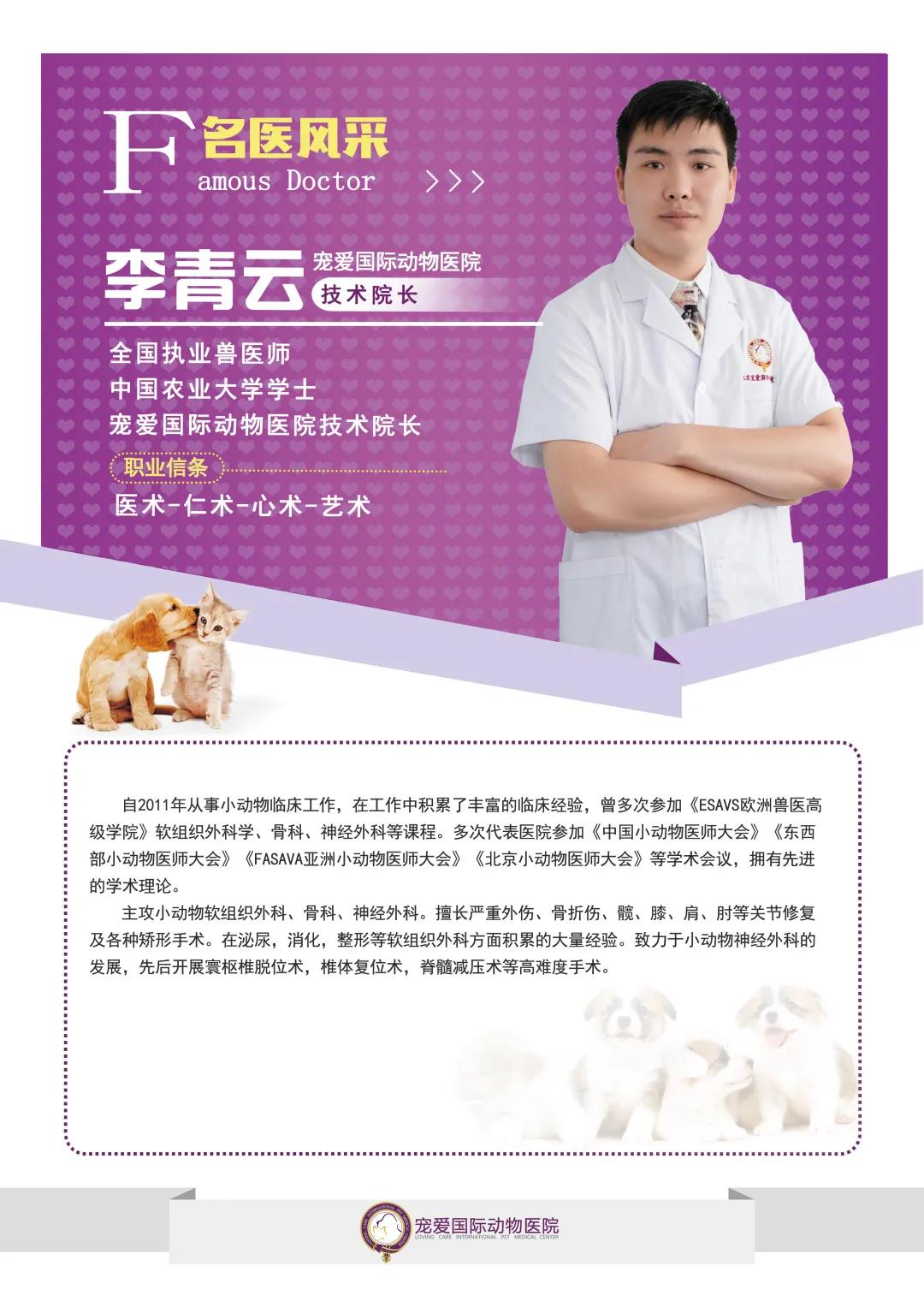 狗狗喜欢追逐移动的东西,狗狗前十字韧带撕裂