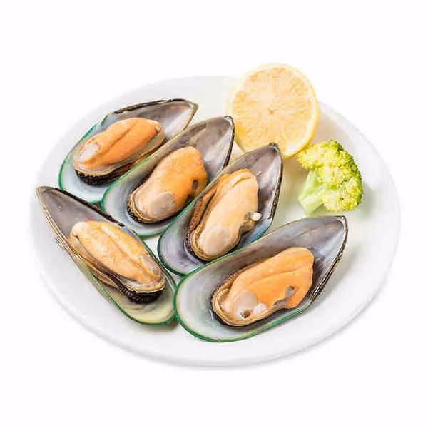 猫狗吃什么补充营养便宜,怎么配制猫狗都吃的食物