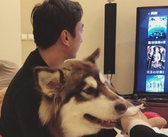 哪五种宠物狗是行走的人民币,世界上有6种狗最贵你知道吗