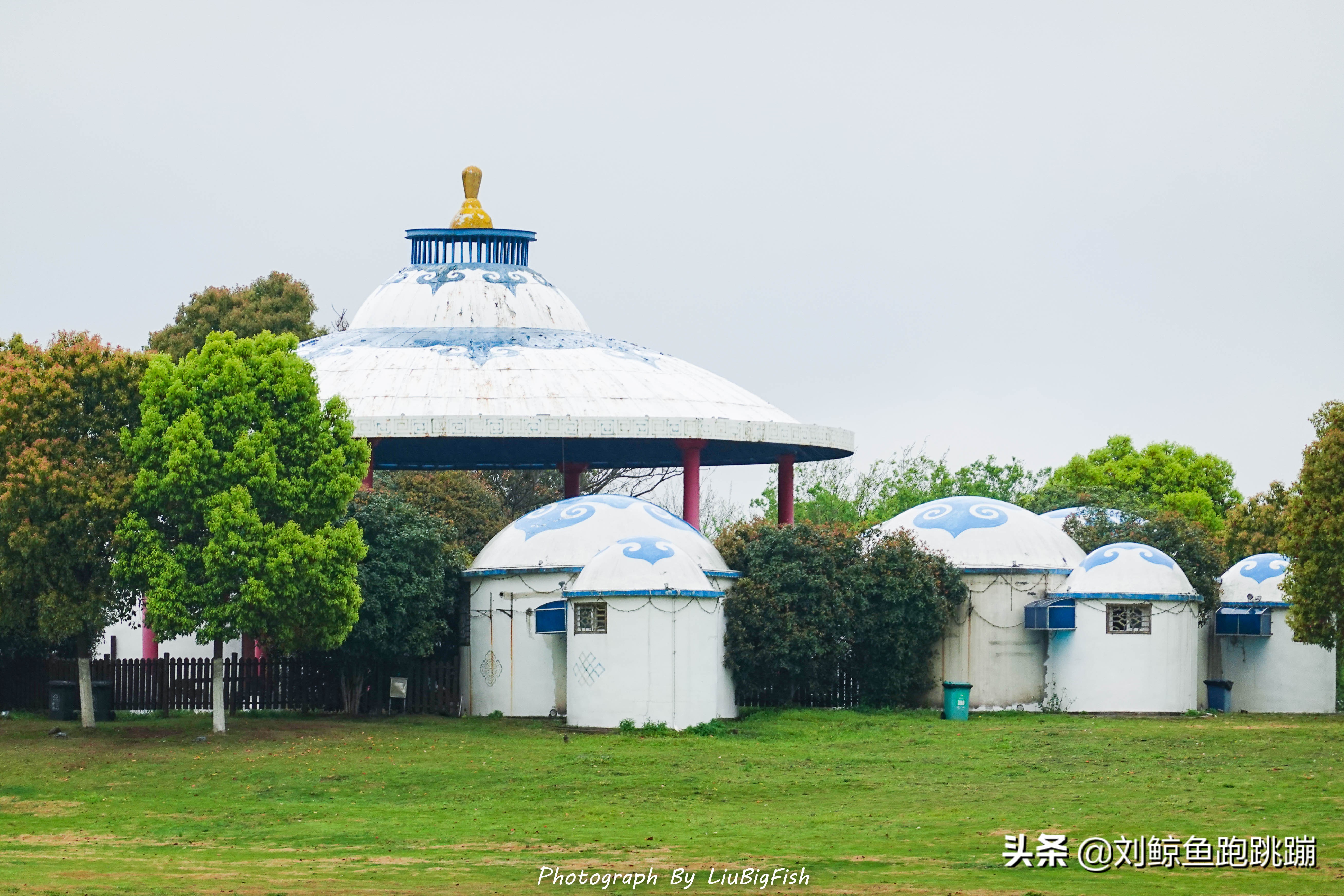 木兰草原马战演出直播,武汉木兰草原狂欢夜视频
