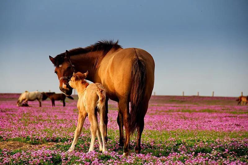 令人动容的图片,令人动容的电影大全