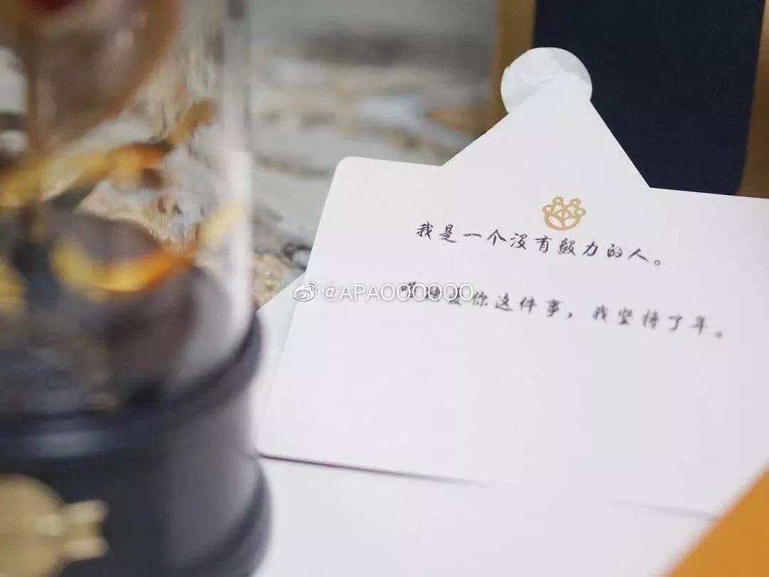 prada跟nike联名海报,pradanike合作款