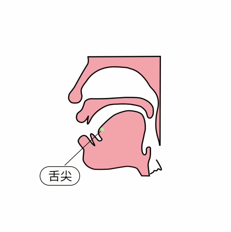 儿童拼音前鼻音和后鼻音发音教程,小学拼音前鼻音后鼻音怎么区分