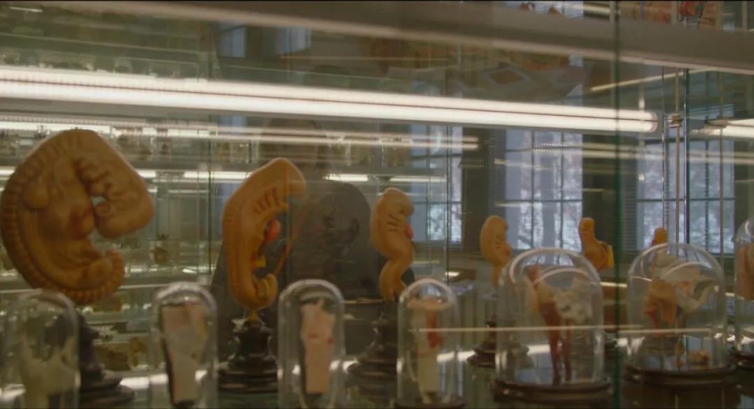 炸裂！影后果然大胆，25分钟分娩戏看得我心惊肉跳