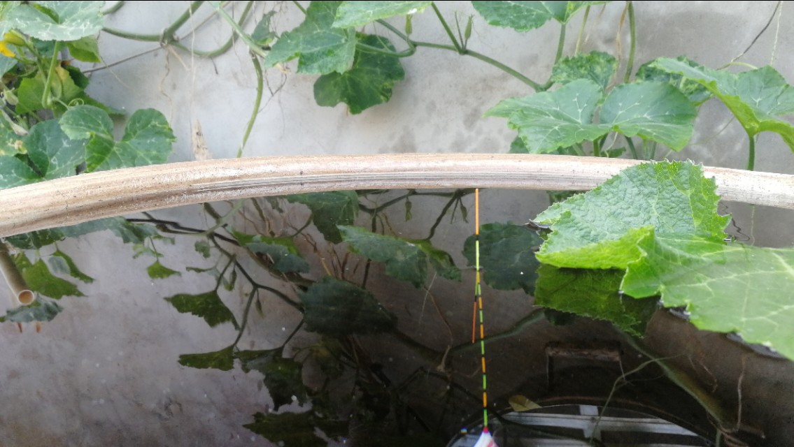 调漂不正确有什么影响,饵料轻压不下浮漂目数怎么办