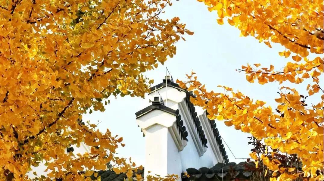 创森进行时丨立冬后，我把丰台的秋，收进了相册里