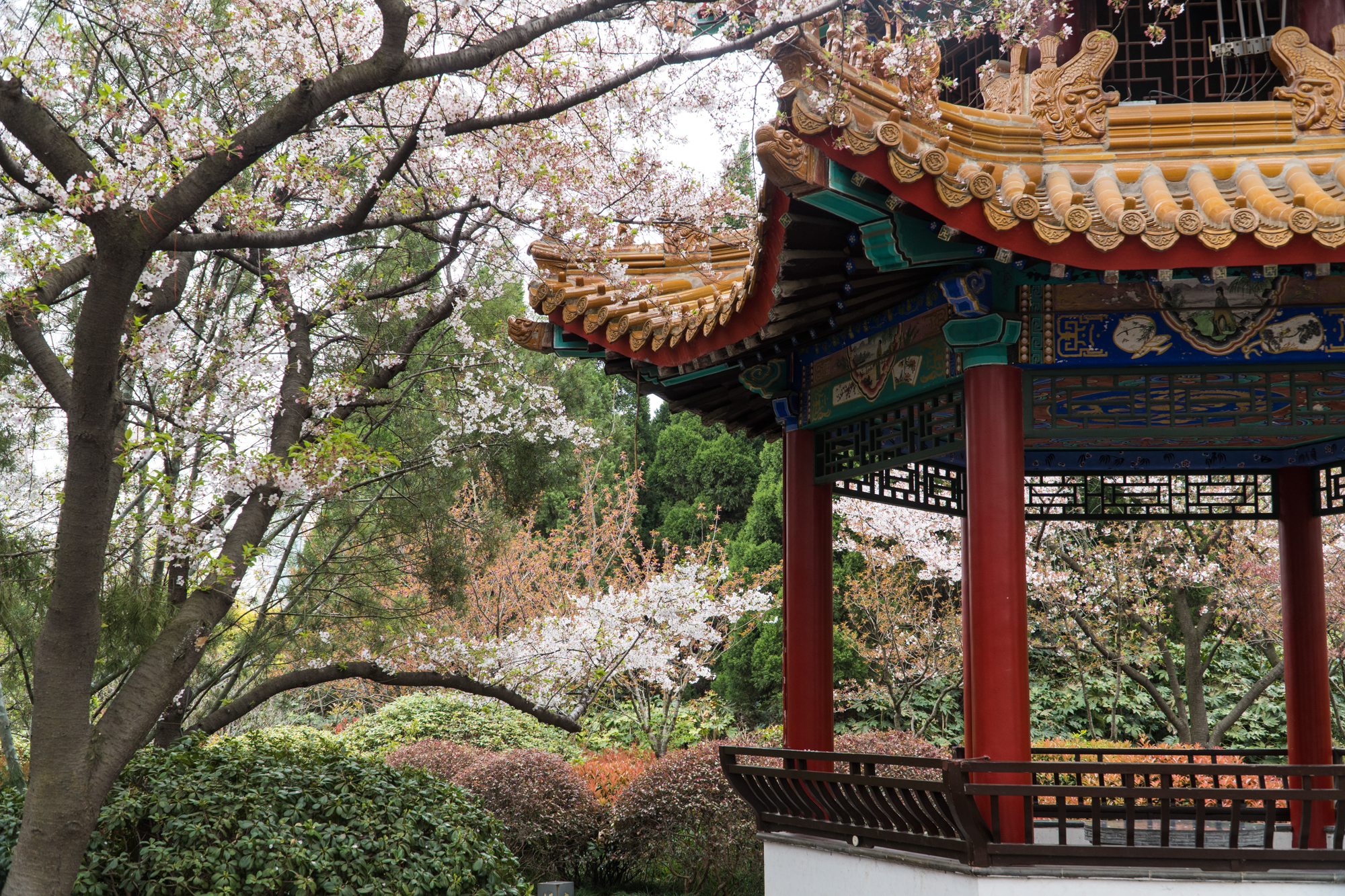 徐州周末郊游的好地方,徐州自然风光好去处