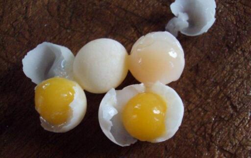 鸽子蛋鸡蛋鹌鹑蛋营养区别,鸵鸟蛋真的比土鸡蛋营养高吗