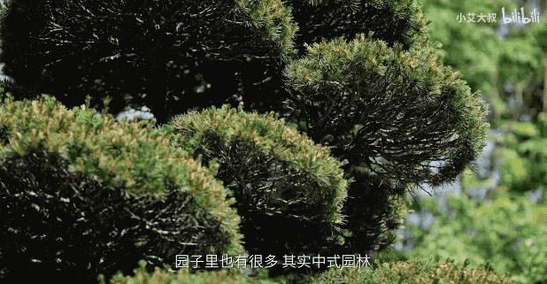 杭州中式豪宅红木,杭州红木家具别墅