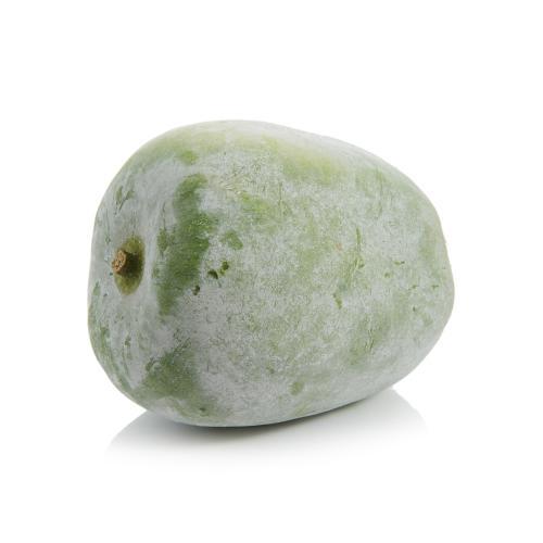 胎儿发育全过程标本,是否能看到胎儿的发育过程