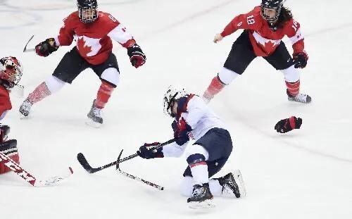 我为北京冬奥加油，2020.4.16-4.30冬奥知识分享