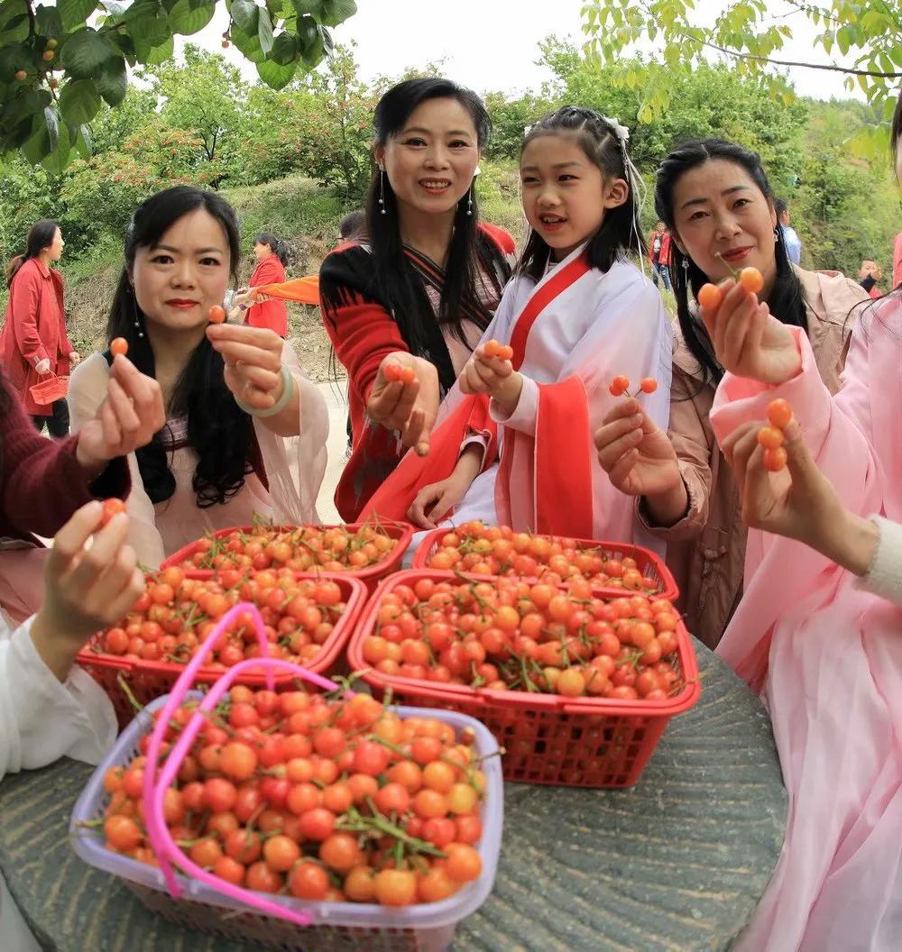 人间最美四月天，十里樱桃红满园