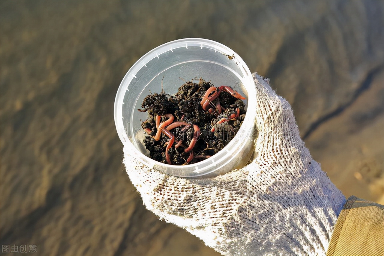 「日本专业海钓入门投钓书籍」活虫饵投钓重要的是保持虫饵新鲜