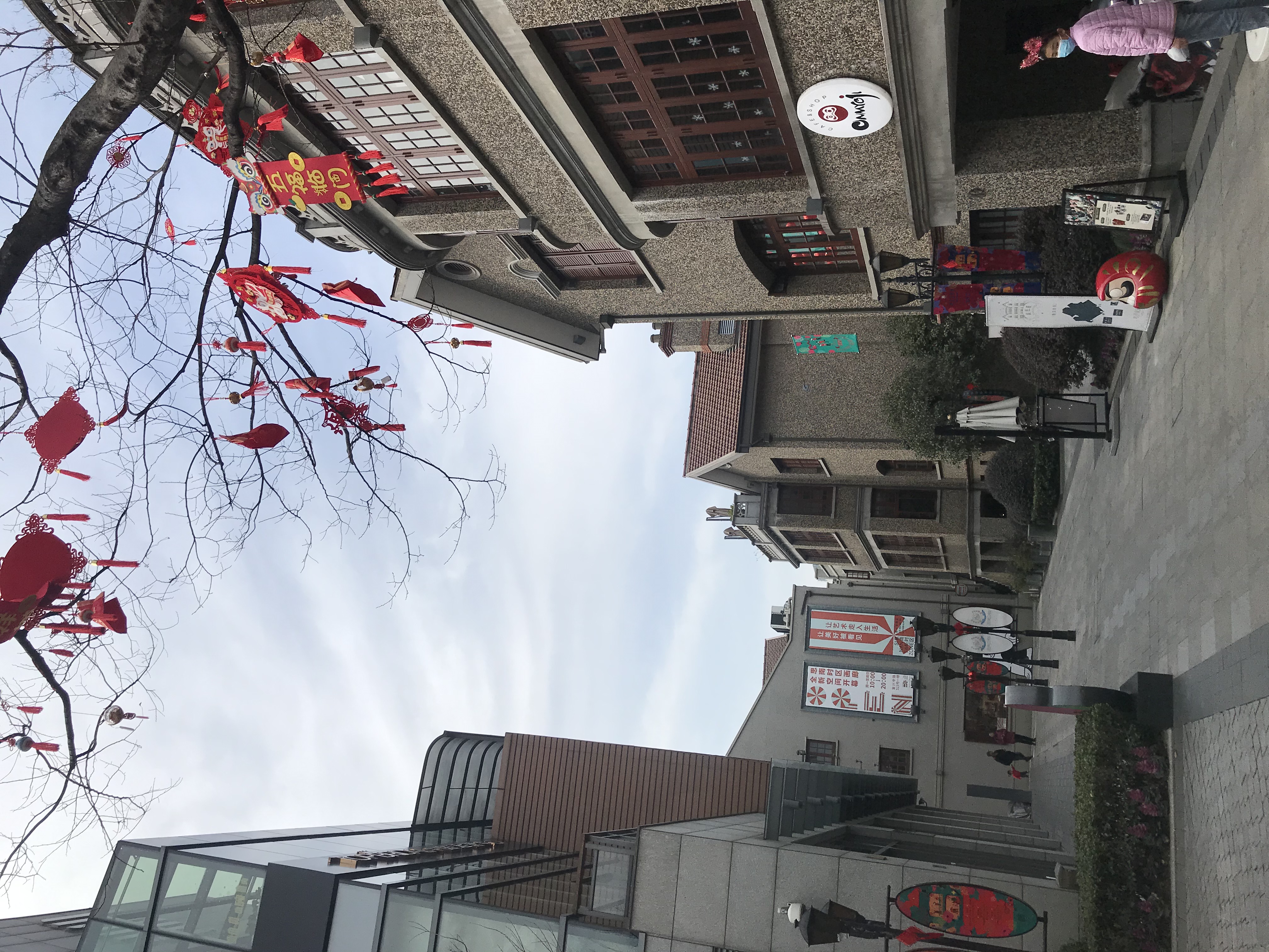 上海的春天视频,上海的春天美景