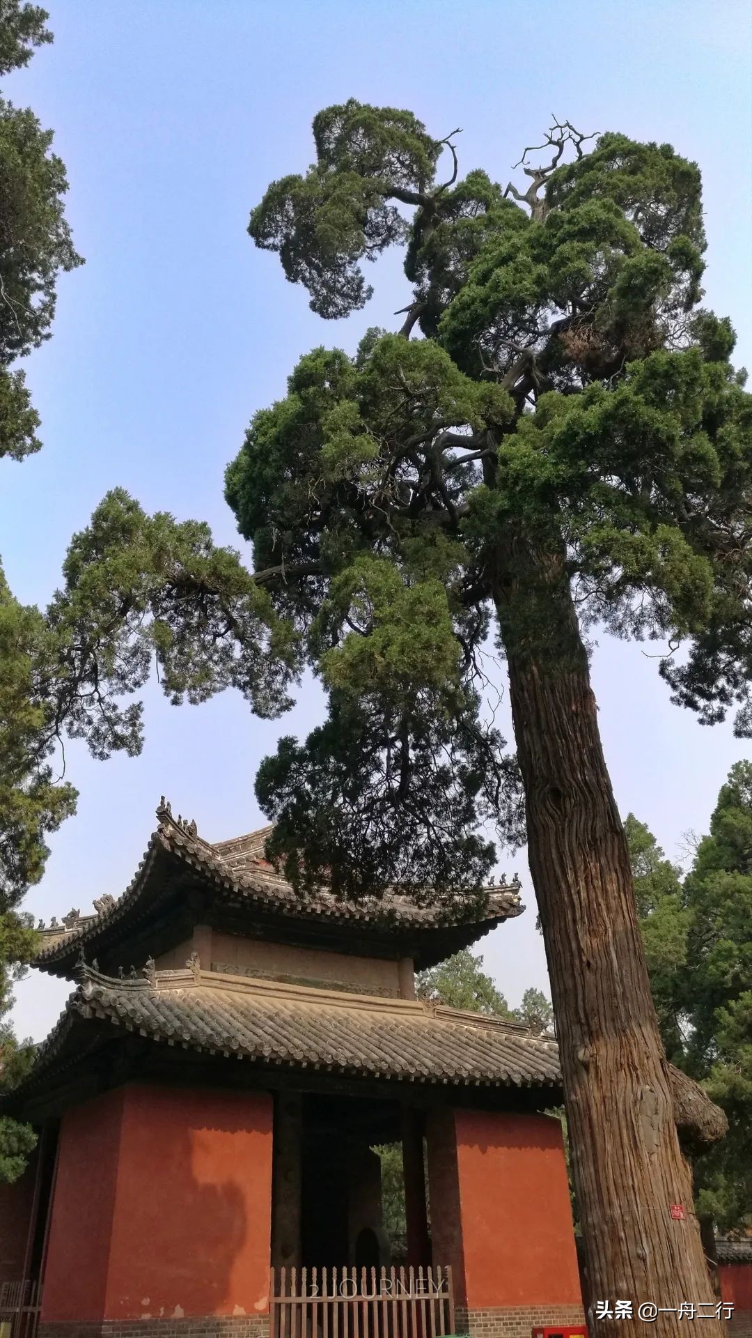 初冬的邂逅曲阜孔庙,游曲阜孔庙发朋友圈