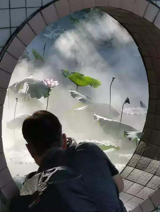 小楼周刊,2021小楼周刊