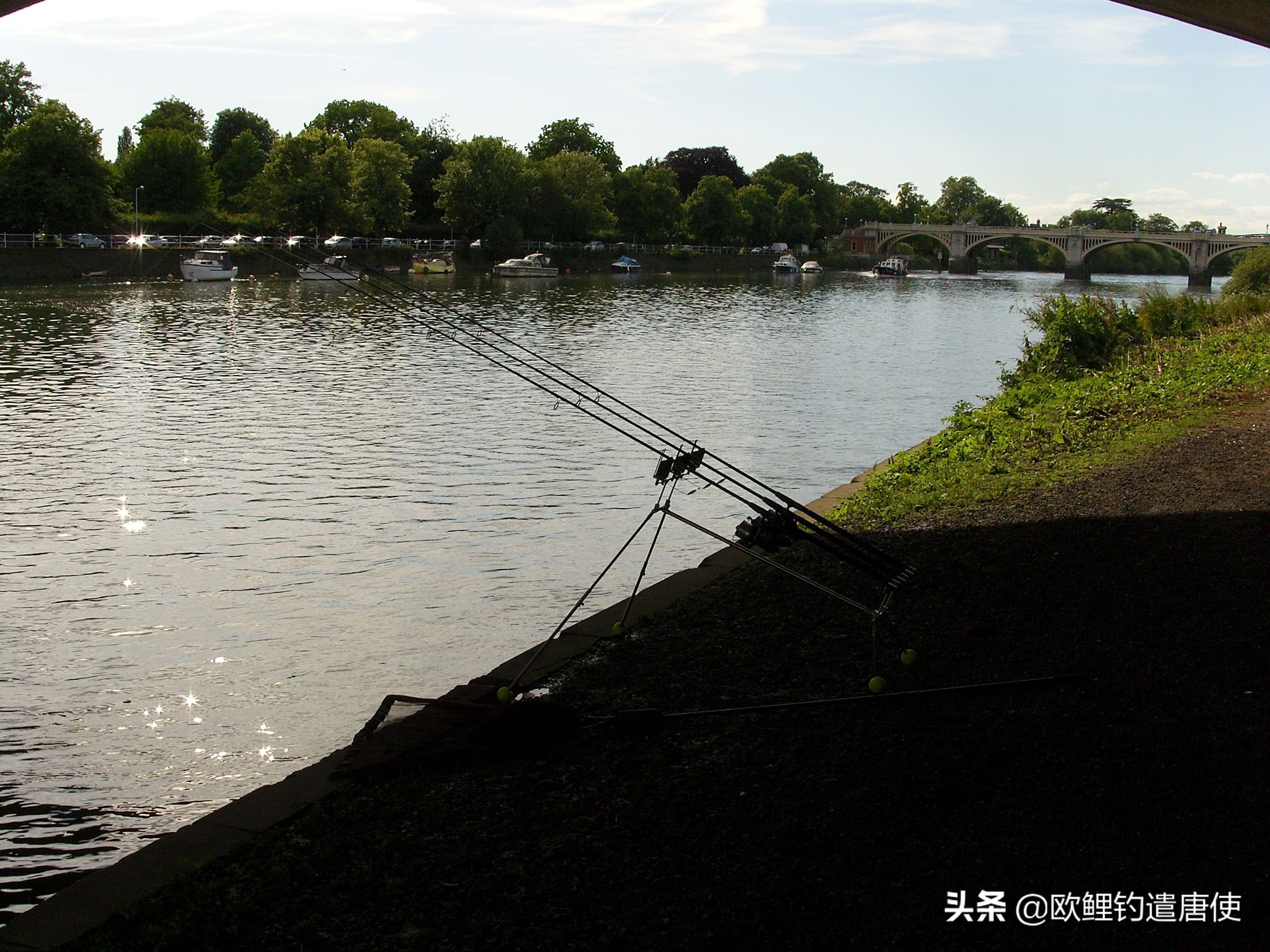 别人家的作业——英国钓鱼证制度