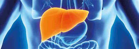 脂肪肝右肩膀痛是怎么回事,彩超显示脂肪肝但是有肝掌