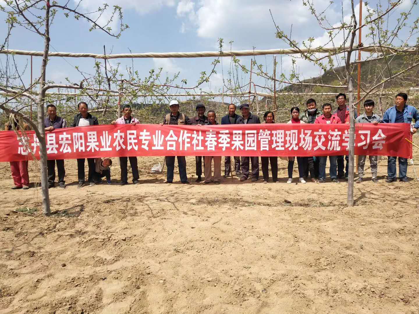 志丹县发布霜冻预警,陕西黄陵苹果防霜冻