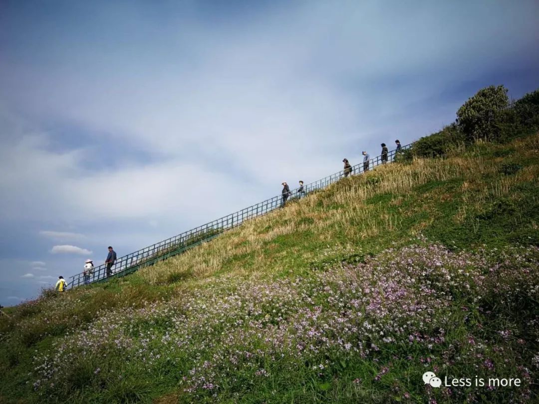韩国济州岛五天攻略,韩国济州岛旅游详细攻略