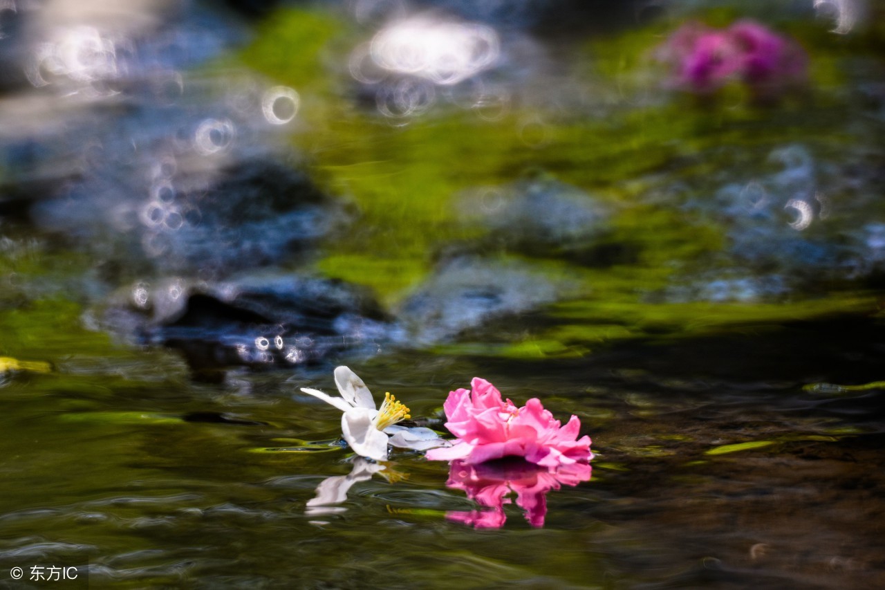 月影疏疏,月影疏疏新中式测评